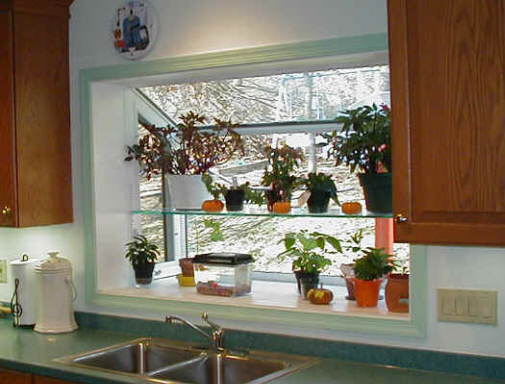 Kitchen Window